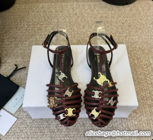 Hot Style Celine Cage Flat Sandals in Calfskin C080326 Burgundy 2026