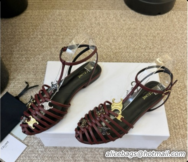 Hot Style Celine Cage Flat Sandals in Calfskin C080326 Burgundy 2026