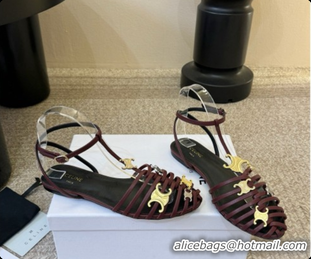 Hot Style Celine Cage Flat Sandals in Calfskin C080326 Burgundy 2026