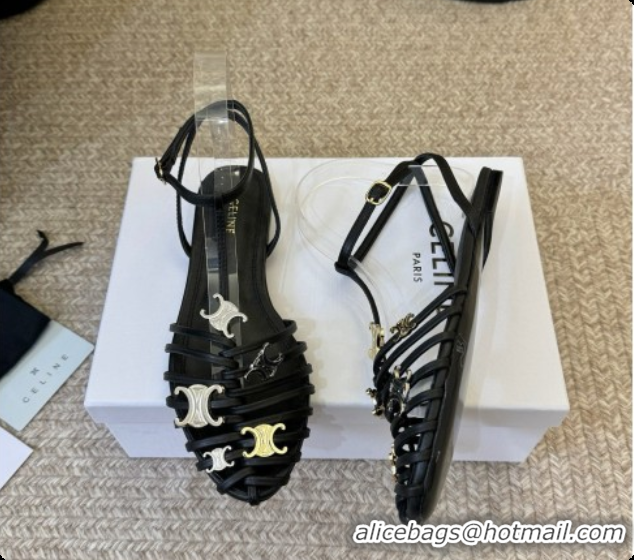 Charming Celine Cage Flat Sandals in Calfskin C080328 Black 2026