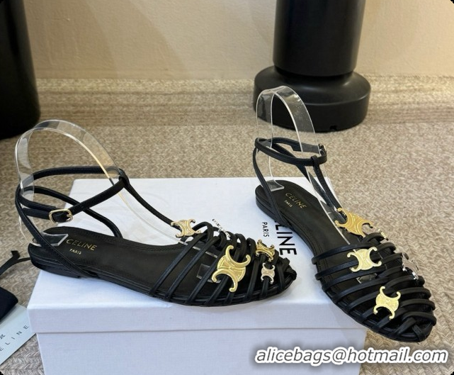 Charming Celine Cage Flat Sandals in Calfskin C080328 Black 2026