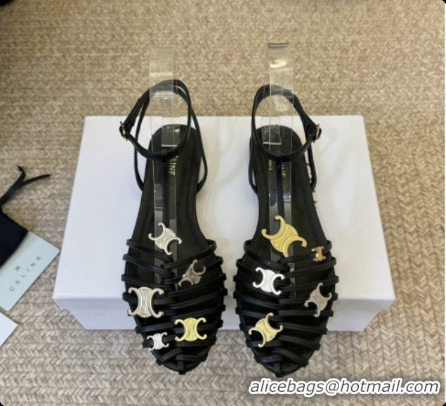Charming Celine Cage Flat Sandals in Calfskin C080328 Black 2026