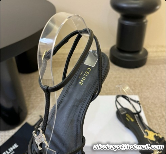 Charming Celine Cage Flat Sandals in Calfskin C080328 Black 2026
