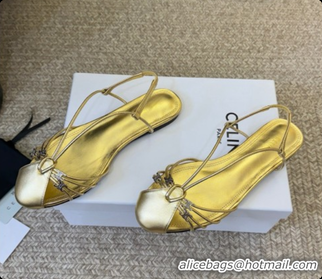 Low Cost Celine Cocktail Sandals in Calfskin C080331 Gold 2026