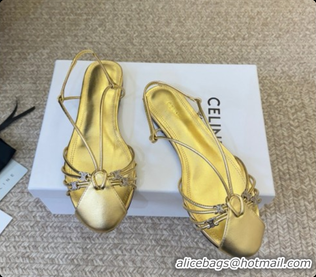 Low Cost Celine Cocktail Sandals in Calfskin C080331 Gold 2026