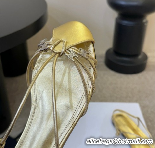 Low Cost Celine Cocktail Sandals in Calfskin C080331 Gold 2026