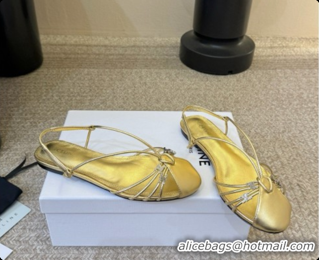 Low Cost Celine Cocktail Sandals in Calfskin C080331 Gold 2026