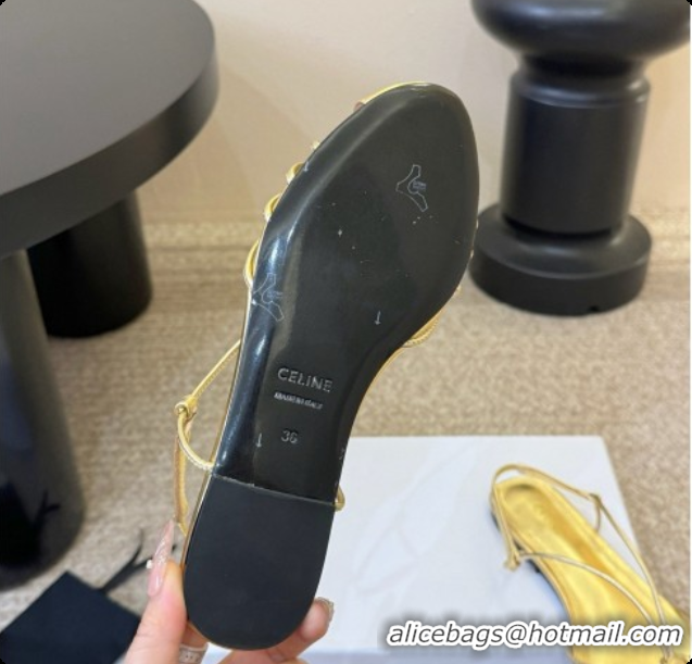 Low Cost Celine Cocktail Sandals in Calfskin C080331 Gold 2026