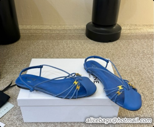 Popular Style Celine Cocktail Sandals in Calfskin C080333 Blue 2026
