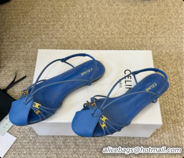 Popular Style Celine Cocktail Sandals in Calfskin C080333 Blue 2026
