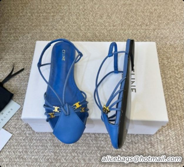 Popular Style Celine Cocktail Sandals in Calfskin C080333 Blue 2026