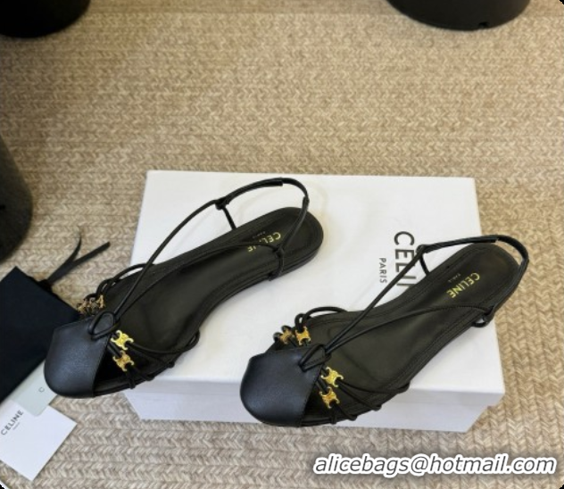 Low Cost Celine Cocktail Sandals in Calfskin C080334 Black 2026