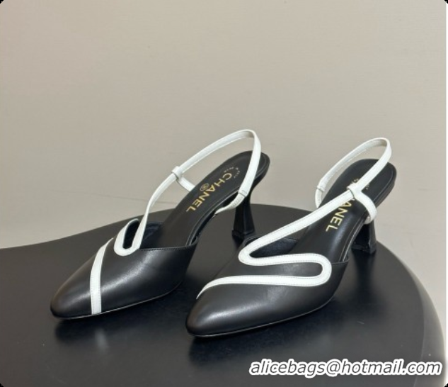 Perfect Chanel Lambskin Slingbacks Pump CH072701 Black 2026