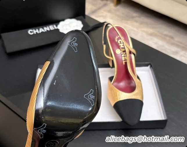 Best Price Chanel Gold Leather & Grosgrain Slingbacks Pump CH072713 2026