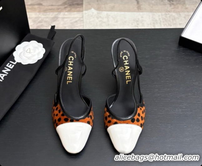 Purchase Chanel Mixed Fibers & Patent Leather Slingbacks Pump CH072714 Brown 2026