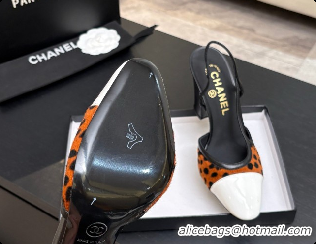 Purchase Chanel Mixed Fibers & Patent Leather Slingbacks Pump CH072714 Brown 2026