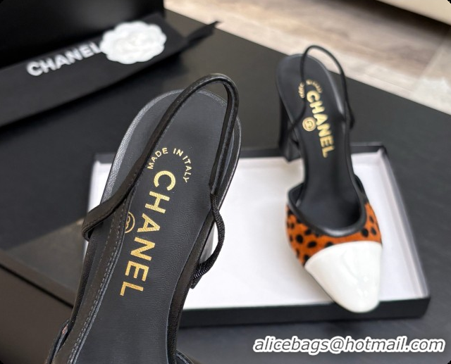 Purchase Chanel Mixed Fibers & Patent Leather Slingbacks Pump CH072714 Brown 2026