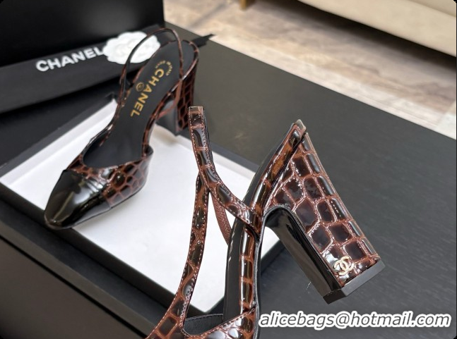 Good Quality Chanel Crocodile Pattern Calfskin & Patent Leather Slingbacks Pump CH072715 Dark Brown 2026