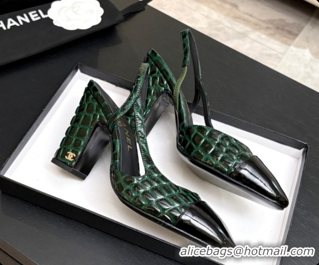 Buy Discount Chanel Crocodile Pattern Calfskin & Patent Leather Slingbacks Pump CH072718 Green 2026