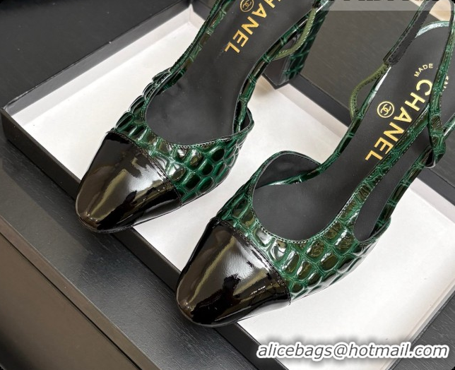Buy Discount Chanel Crocodile Pattern Calfskin & Patent Leather Slingbacks Pump CH072718 Green 2026