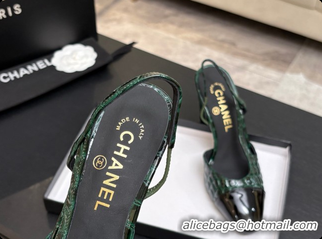 Buy Discount Chanel Crocodile Pattern Calfskin & Patent Leather Slingbacks Pump CH072718 Green 2026