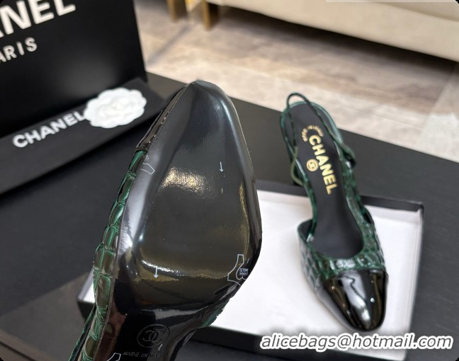 Buy Discount Chanel Crocodile Pattern Calfskin & Patent Leather Slingbacks Pump CH072718 Green 2026