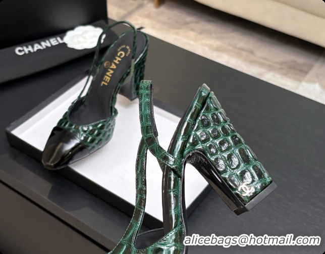 Buy Discount Chanel Crocodile Pattern Calfskin & Patent Leather Slingbacks Pump CH072718 Green 2026