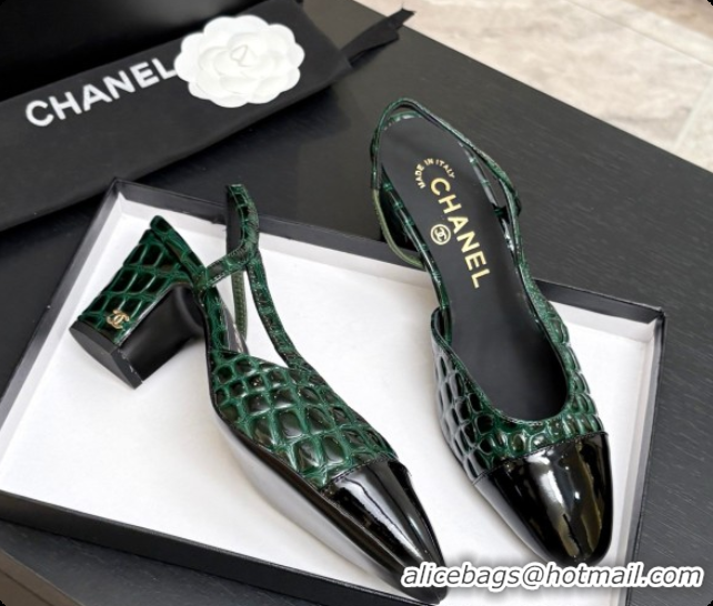 Pretty Style Chanel Crocodile Pattern Calfskin & Patent Leather Slingbacks Pump 6.5cm Heel CH072728 Green 2026