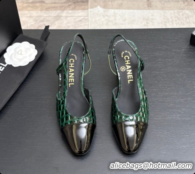 Pretty Style Chanel Crocodile Pattern Calfskin & Patent Leather Slingbacks Pump 6.5cm Heel CH072728 Green 2026