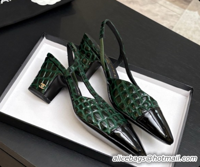 Pretty Style Chanel Crocodile Pattern Calfskin & Patent Leather Slingbacks Pump 6.5cm Heel CH072728 Green 2026