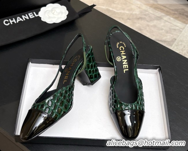 Pretty Style Chanel Crocodile Pattern Calfskin & Patent Leather Slingbacks Pump 6.5cm Heel CH072728 Green 2026