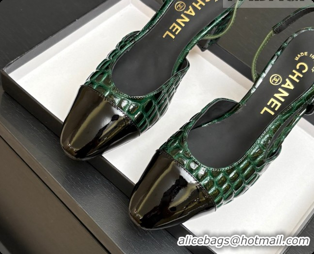 Pretty Style Chanel Crocodile Pattern Calfskin & Patent Leather Slingbacks Pump 6.5cm Heel CH072728 Green 2026