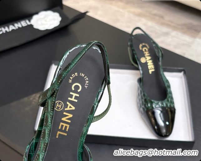Pretty Style Chanel Crocodile Pattern Calfskin & Patent Leather Slingbacks Pump 6.5cm Heel CH072728 Green 2026