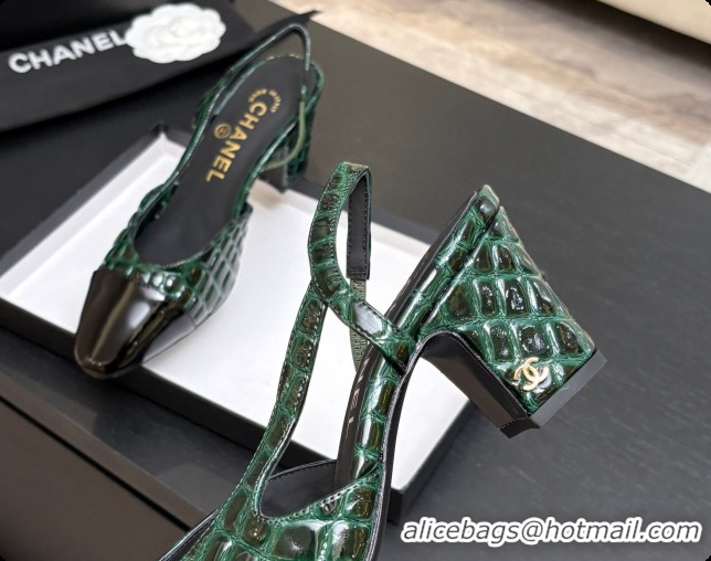 Pretty Style Chanel Crocodile Pattern Calfskin & Patent Leather Slingbacks Pump 6.5cm Heel CH072728 Green 2026