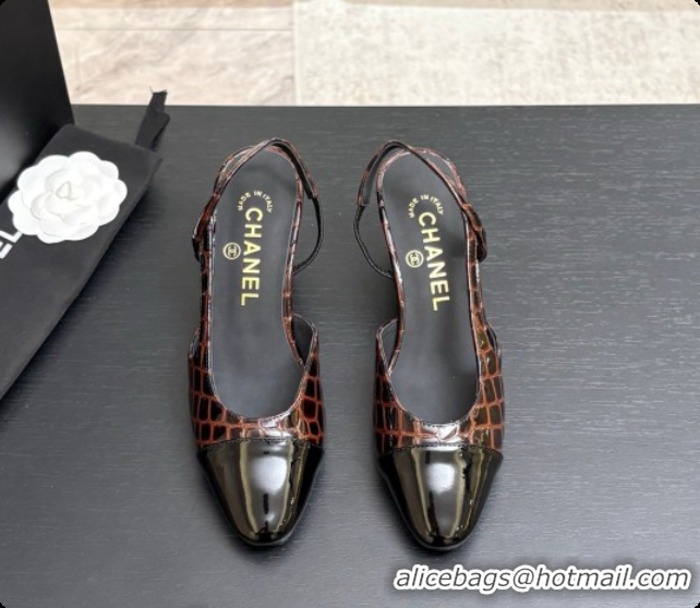 Best Grade Chanel Crocodile Pattern Calfskin & Patent Leather Slingbacks Pump 6.5cm Heel CH072729 Dark Brown 2026