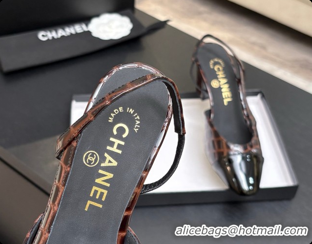Best Grade Chanel Crocodile Pattern Calfskin & Patent Leather Slingbacks Pump 6.5cm Heel CH072729 Dark Brown 2026