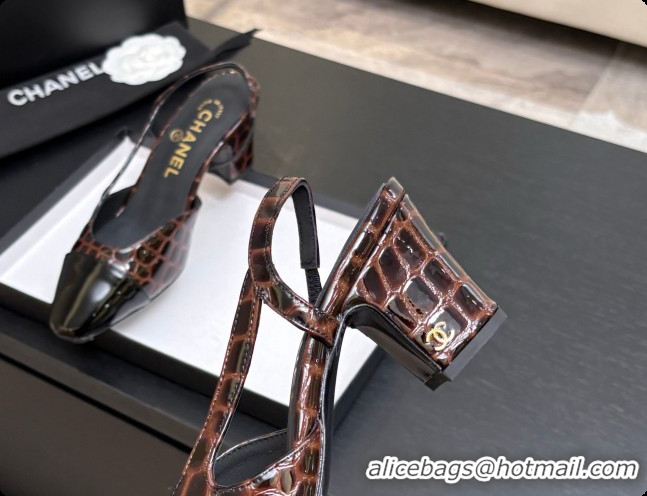 Best Grade Chanel Crocodile Pattern Calfskin & Patent Leather Slingbacks Pump 6.5cm Heel CH072729 Dark Brown 2026