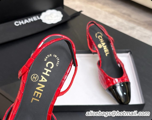 Hot Style Chanel Crocodile Pattern Calfskin & Patent Leather Slingbacks Pump 6.5cm Heel CH072731 Red 2026
