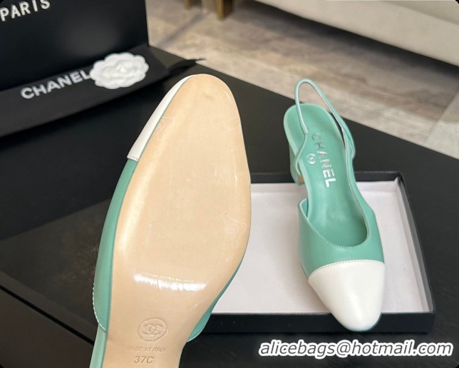 Classic Hot Chanel Lambskin Slingbacks Pump 6.5cm Heel CH072739 Light Green 2026