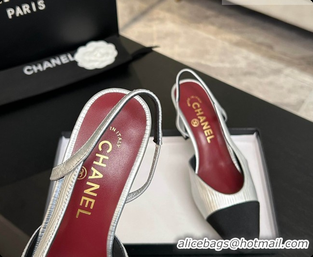 Luxurious Chanel Silver Leather Slingbacks Pump 6.5cm Heel CH072740 2026