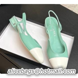 Good Looking Chanel Crocodile Pattern Calfskin & Patent Leather Slingbacks Flat CH072743 Light Green 2026