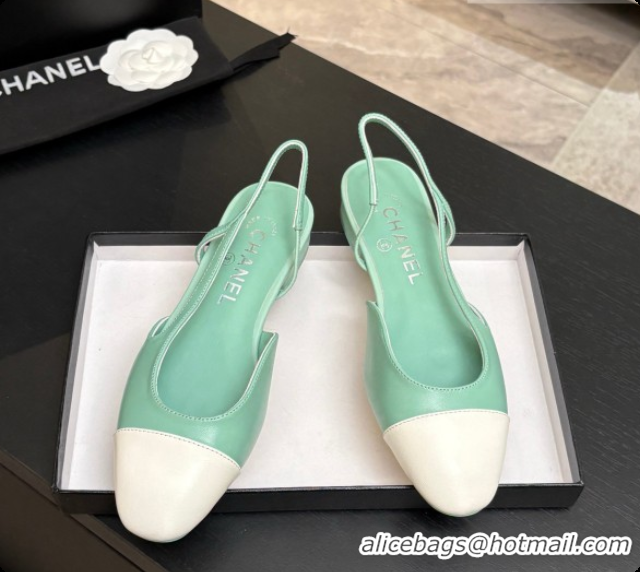 Good Looking Chanel Crocodile Pattern Calfskin & Patent Leather Slingbacks Flat CH072743 Light Green 2026