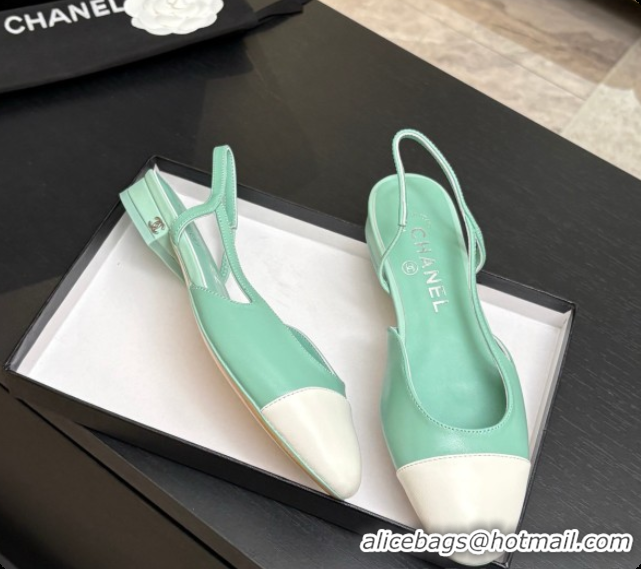 Good Looking Chanel Crocodile Pattern Calfskin & Patent Leather Slingbacks Flat CH072743 Light Green 2026