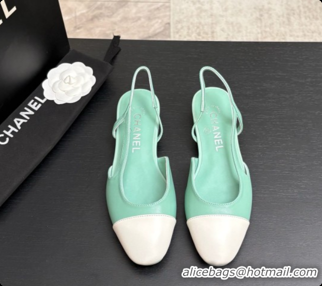 Good Looking Chanel Crocodile Pattern Calfskin & Patent Leather Slingbacks Flat CH072743 Light Green 2026
