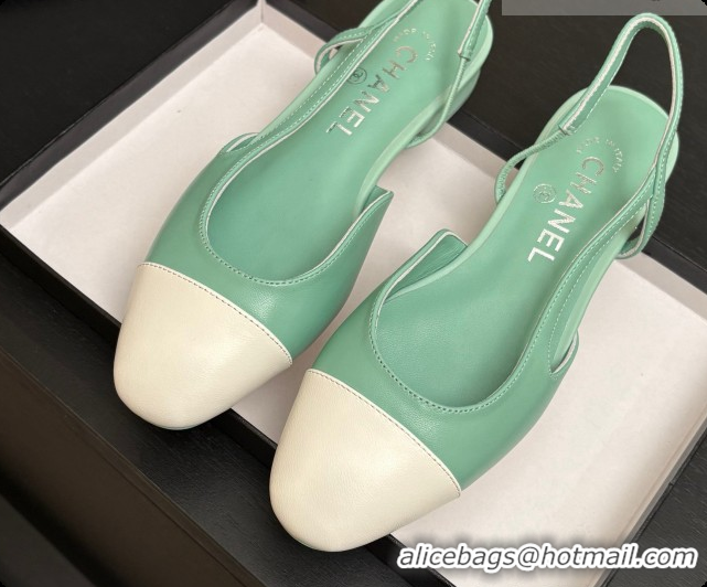 Good Looking Chanel Crocodile Pattern Calfskin & Patent Leather Slingbacks Flat CH072743 Light Green 2026