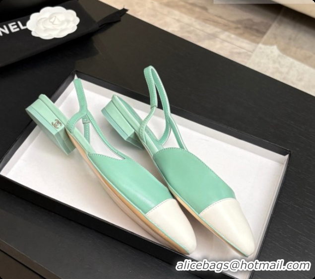 Good Looking Chanel Crocodile Pattern Calfskin & Patent Leather Slingbacks Flat CH072743 Light Green 2026