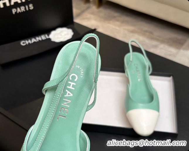 Good Looking Chanel Crocodile Pattern Calfskin & Patent Leather Slingbacks Flat CH072743 Light Green 2026