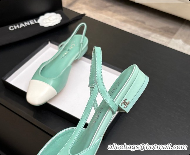 Good Looking Chanel Crocodile Pattern Calfskin & Patent Leather Slingbacks Flat CH072743 Light Green 2026