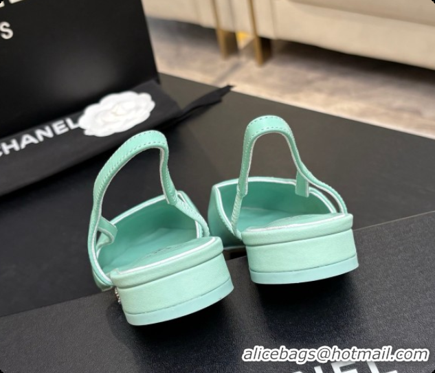 Good Looking Chanel Crocodile Pattern Calfskin & Patent Leather Slingbacks Flat CH072743 Light Green 2026