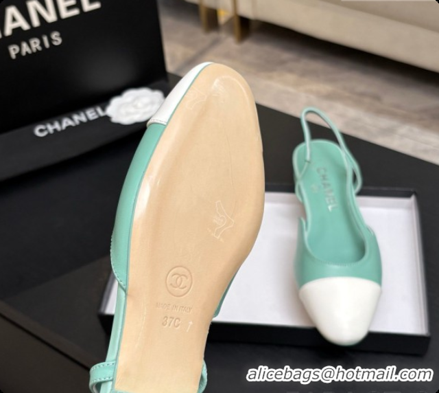Good Looking Chanel Crocodile Pattern Calfskin & Patent Leather Slingbacks Flat CH072743 Light Green 2026